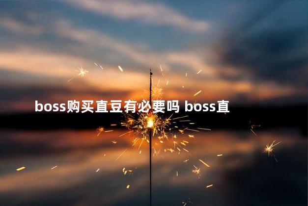 boss购买直豆有必要吗 boss直聘的直豆怎么用